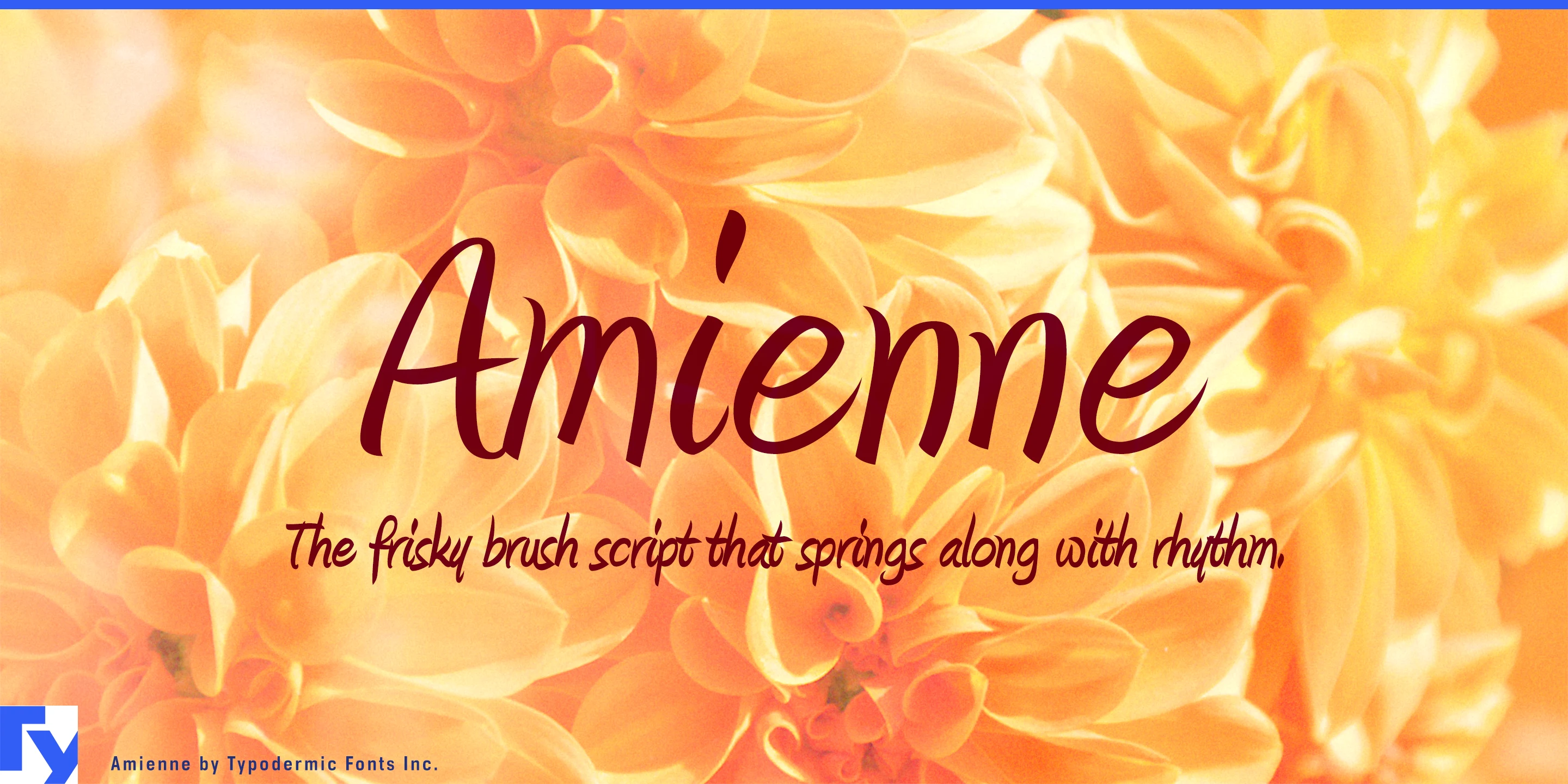 Schriftmuster 1 von Amienne