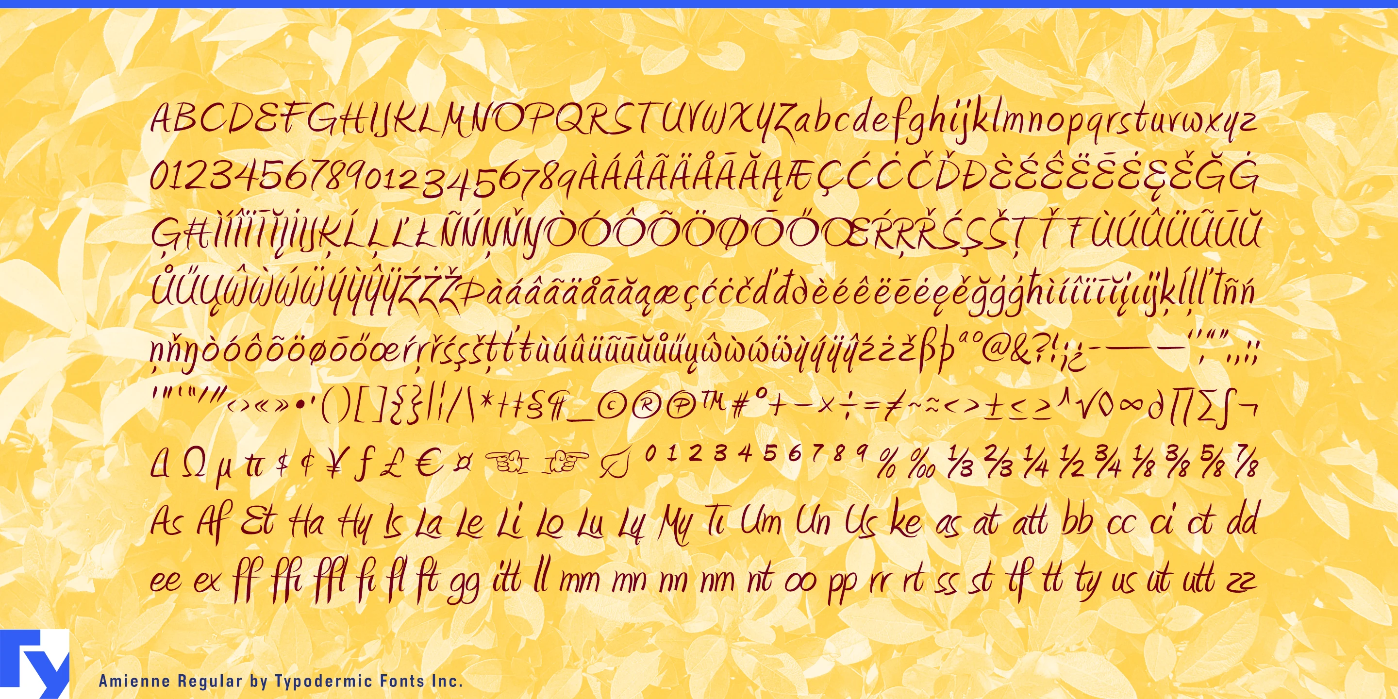 Schriftmuster 5 von Amienne