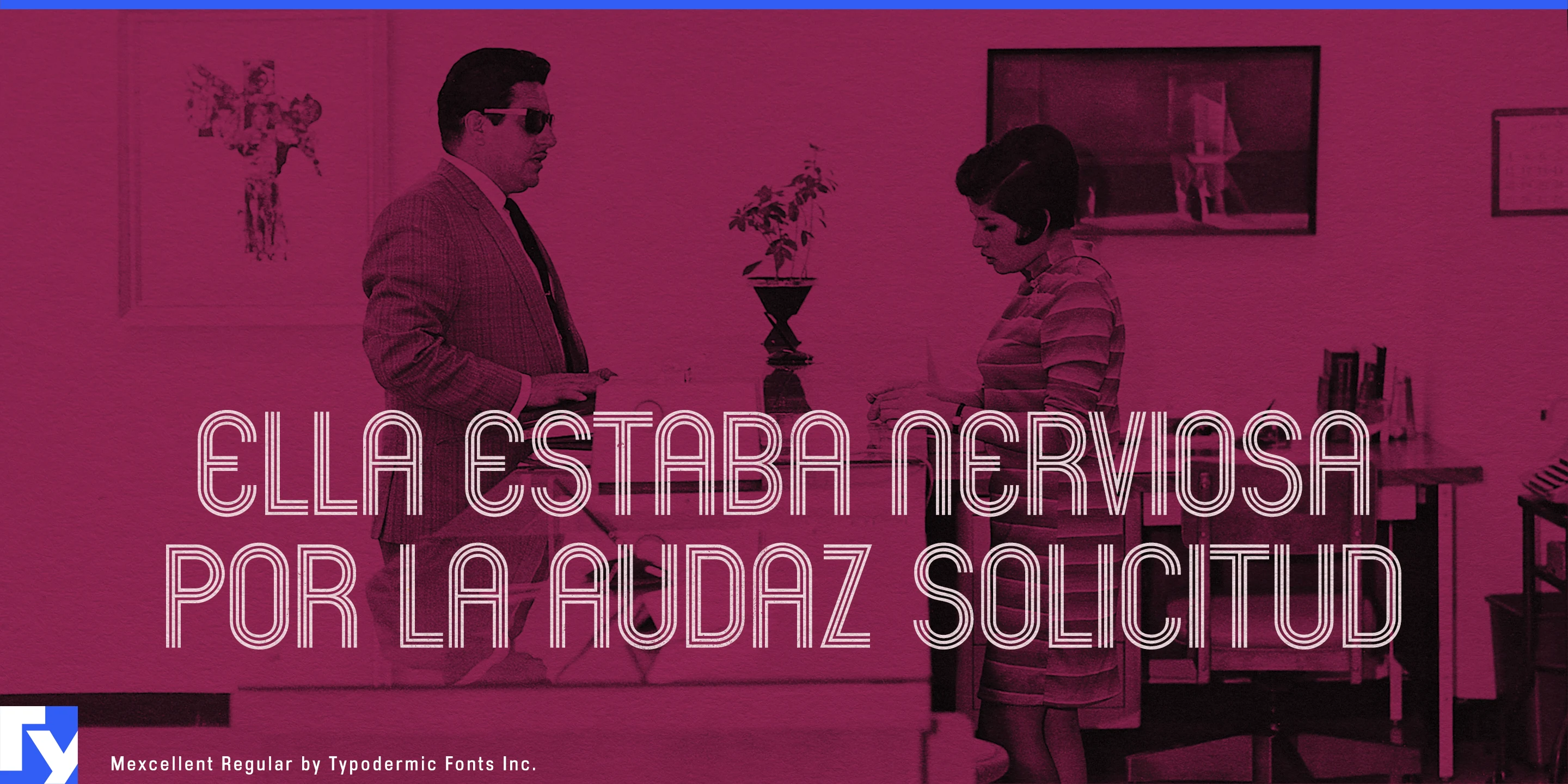 Muestra 6 de Mexcellent